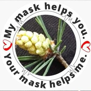 Meet your Posher, Alicia